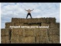 Все лучшие и худшие подходы для роста мышц. Как тренироваться?