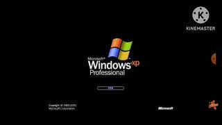 Evolution of Microsoft Windows Error (1985-2020) in Reversed