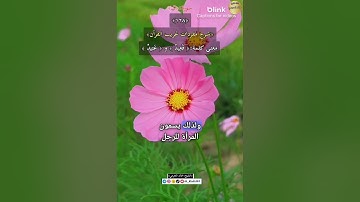 معنى كلمة: (قعيد) و(عتيد)١٢٨-شرح مفردات غريب القرآن ،سورة ق ، الشيخ خالد الحرمي