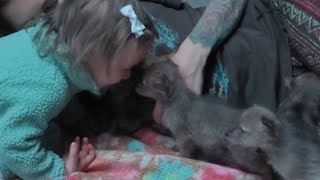 Freya Cuddles With Baby Jackals