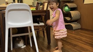 昔と変わらず後をついて来る猫　ノルウェージャンフォレストキャットA cat that follows. Norwegian Forest Cat.