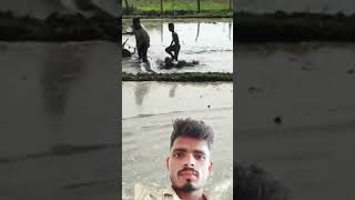 jake rako sai marske #varl # video