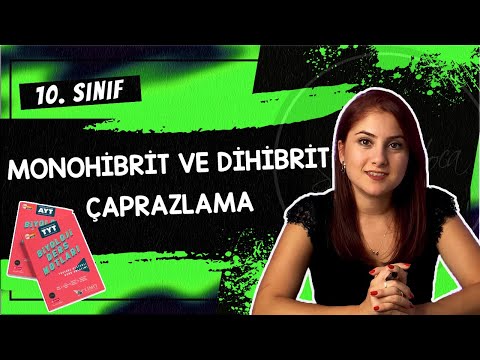 9) MONOHİBRİT VE DİHİBRİT ÇAPRAZLAMA - KALITIM 2 | 10. SINIF | TYT BİYOLOJİ DERS NOTLARI | 2024