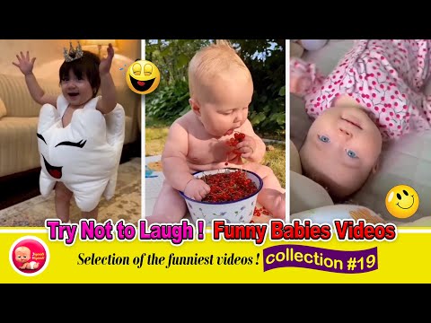 Try Not to Laugh ! funny babies videos ► collection #19 || JigooliVigooli