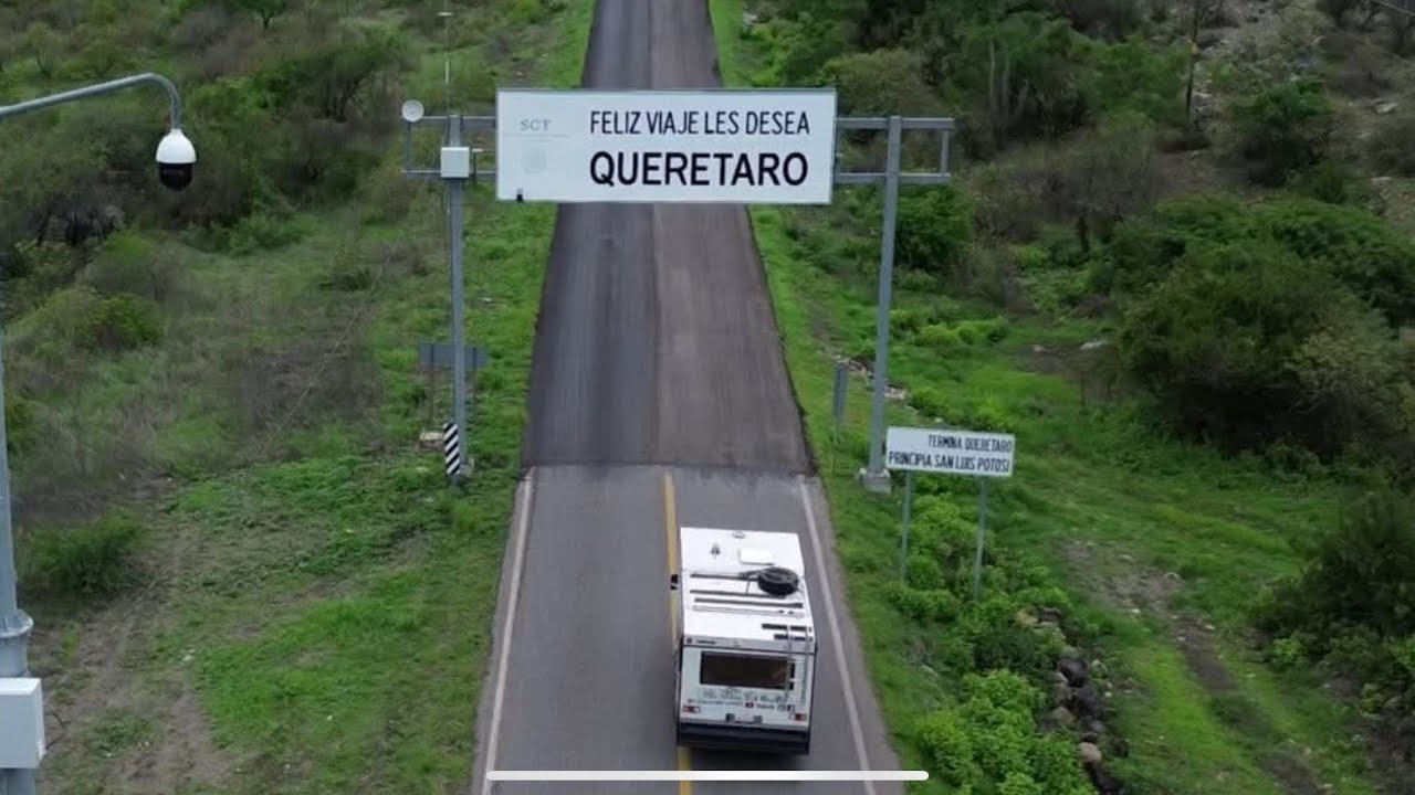 El toro 🐂 viejo de Arroyo Seco