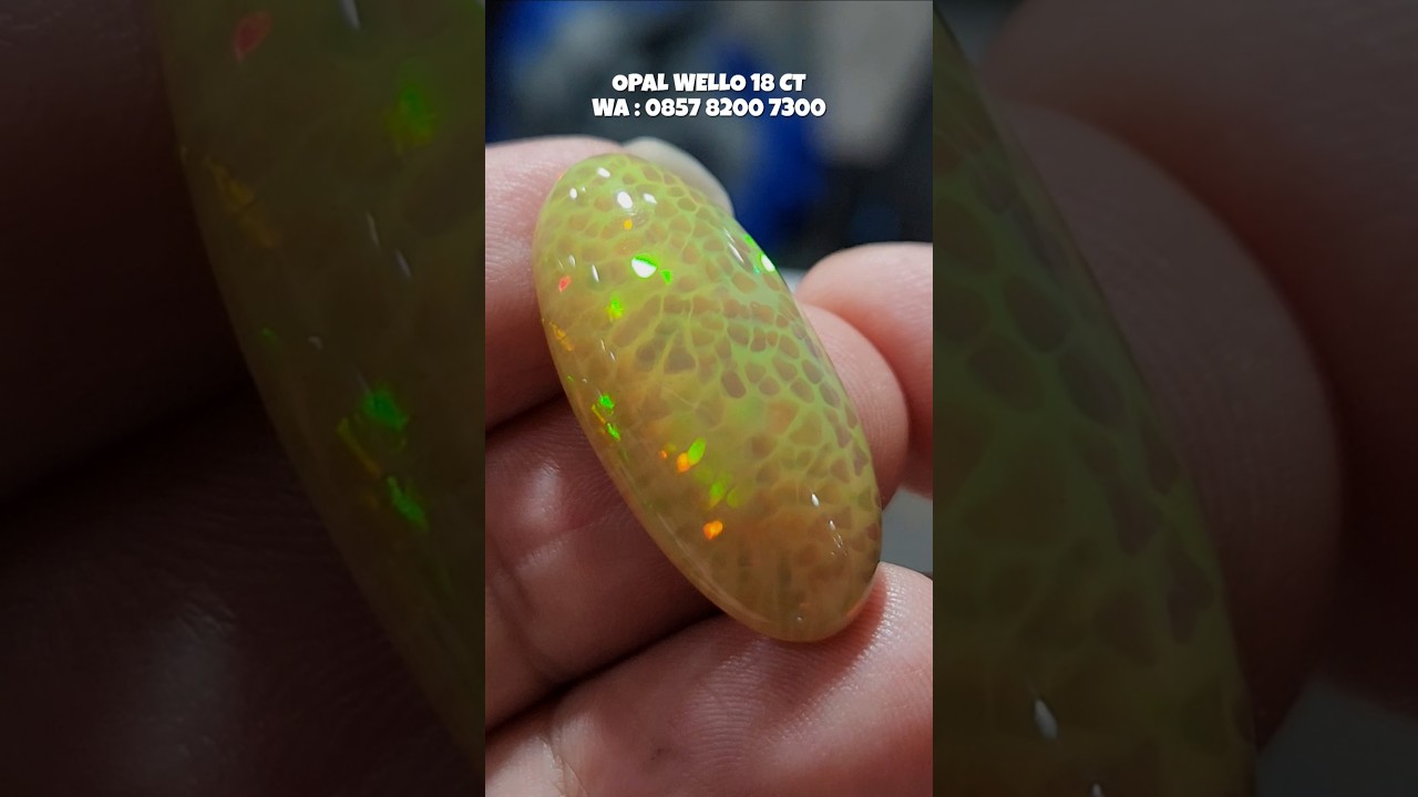 OPAL WELO 