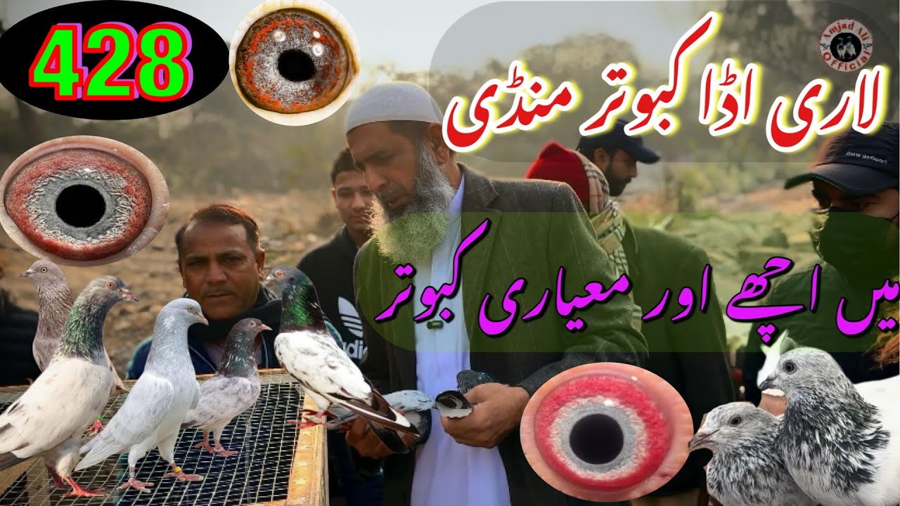 428) Lahore lari ada kabootar mandi || کبوتر منڈی || 