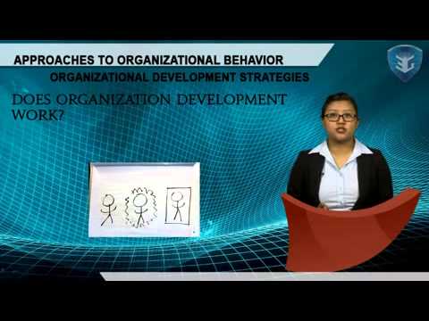 Video: Čo bolo cieľom časopisu Journal of Organizational Behavior Management?