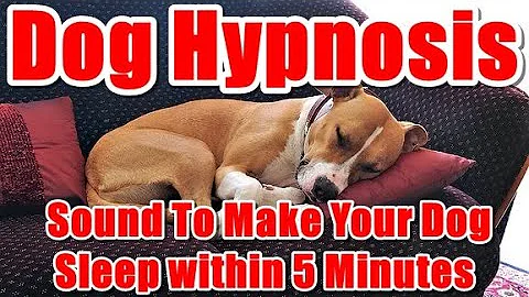 Dog Hypnosis - Sound To Make Your Dog Sleep within 5 Minutes.