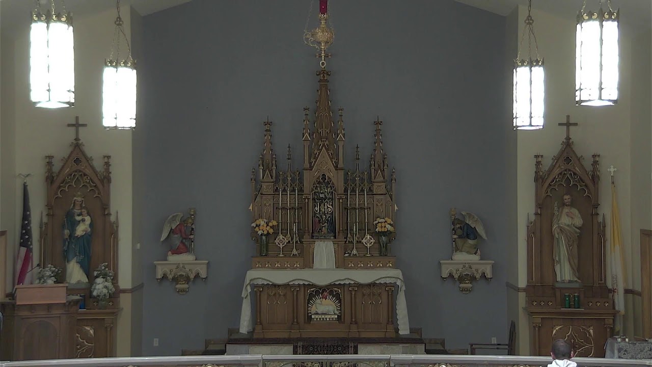 TUESDAY, September 24, 2024 (School Mass)