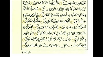 سورة القلم-الشيخ علي الحذيفي-رواية قالون