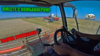 Первые впечатление от комбайна Claas Lexion 580!Убираем тритикале двумя комбайнами и 5 тракторами!