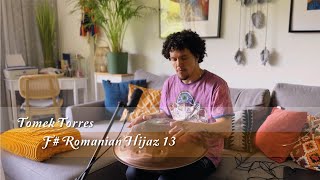 MrPans handpan - F# Romanian Hijaz 13 - Tomek Torres