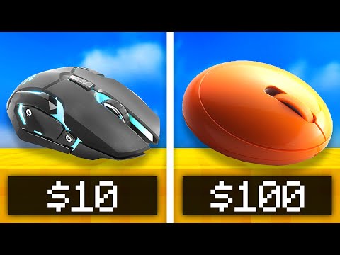 $10 Mouse Vs. $100 Mouse!
