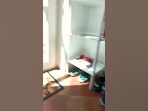 ропопо 🥵 - YouTube
