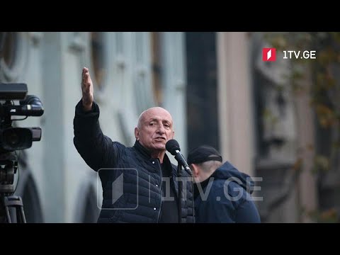 „ნაციონალური მოძრაობის“ საპროტესტო აქცია და გეგმები