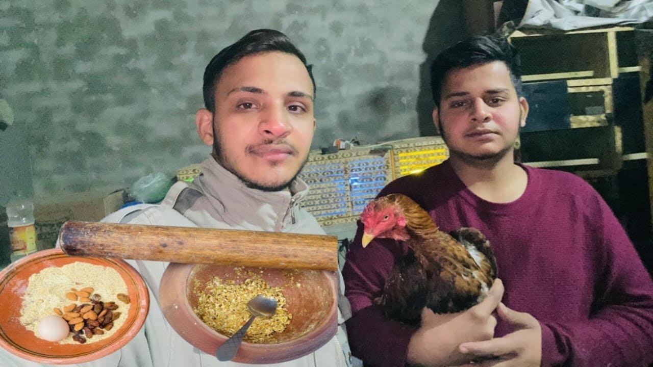 Murge Ke Liye Special Diet Banai🧐