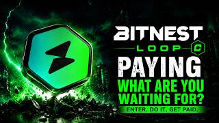 💸BITNEST SPAIN EUROPE SPANISH - Loop C BITNEST PAYING USDT BEP20 #bitnest #investments #loop🚀