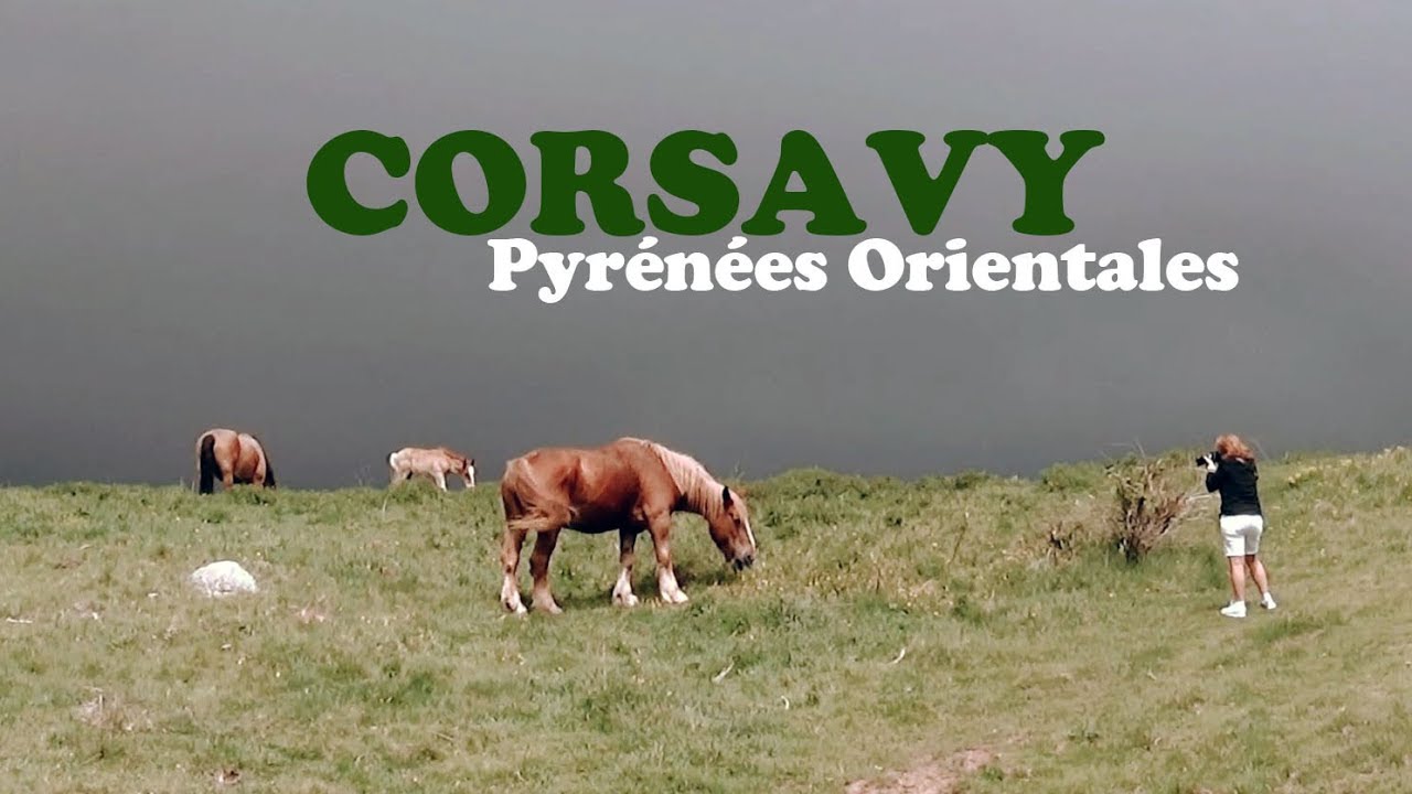 PYRENEES : Corsavy - Amélie les Bains