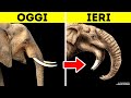7 Animali Preistorici E Moderni A Confronto, Simili Eppure Diversi