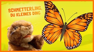 Schmetterling, du kleines Ding 🦋 Kinderlieder zum Mitsingen