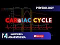 Cardiac Cycle EXPLAINED | Cardiovascular System Physiology Made Easy