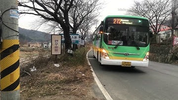 Đi xe buýt bên Hàn Quốc có khó không // Cuộc sống Hàn Quốc