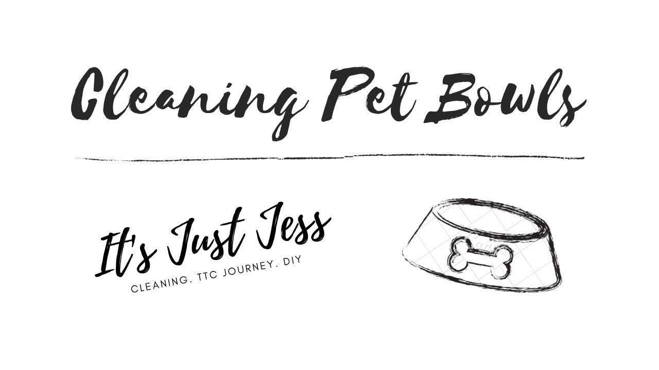 How I Clean My Pet Food Bowl | Cleaning Motivation | Pet Care