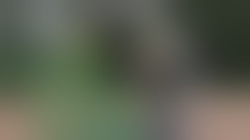 Fails of the Week #3 - August 2019 | Funny Viral Weekly Fail Compilation | Fails Every Week