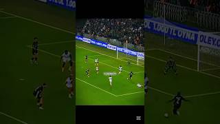 Kocaeli Kediciklere Acımıyor