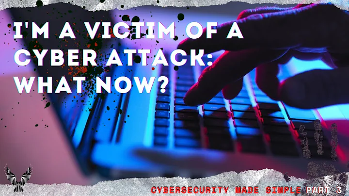 Serving Cybercrime Victims | Kristin Judge