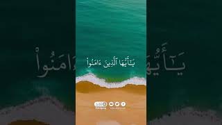 ﴿ الله وملائكته يصلون على النبي ياايها الذين امنو صلو عليه وسلمو تسليما ﴾ القارئ  : عبدالعزيز التركي