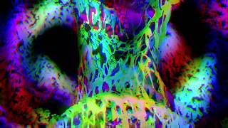 Torus #2