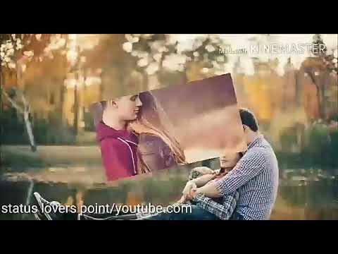 Teri Teri