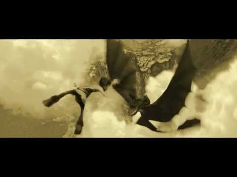 Toothless and Hiccup - I Will Not Die