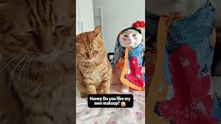 The Kitten Is So Naughty  funny funnypets cats c