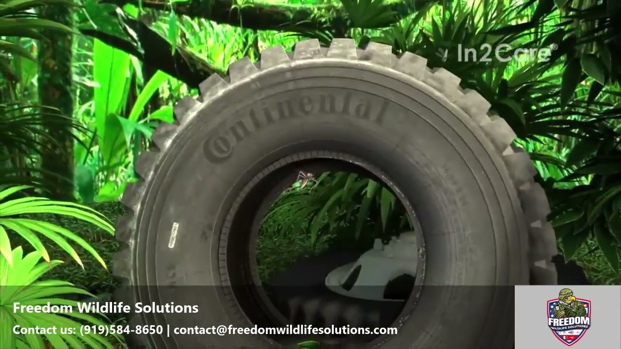 In2Care for Mosquito Control -  Freedom Wildlife Solutions