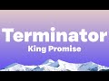 King Promise - Terminator (Lyrics)| I be like terminator, i dey deliver...