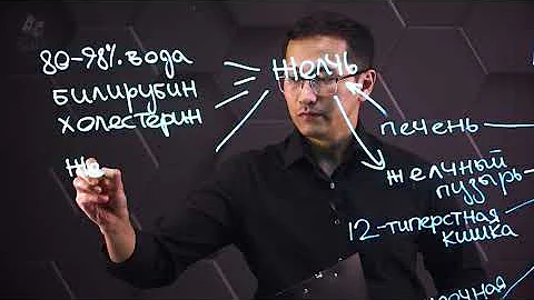 Эмульгирование жиров под действием желчи. 9 класс.