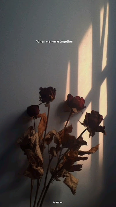 Traitor - Olivia Rodrigo ✨ #shortvideo #liriklagu #sadstatus