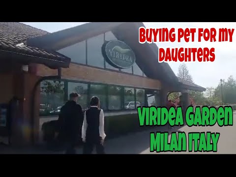 Viridea Garden the home and animals
