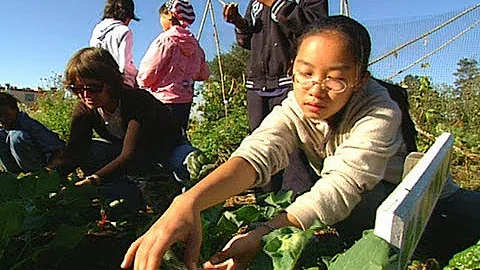 The Edible Schoolyard Yields Seed-to-Table Learning - DayDayNews