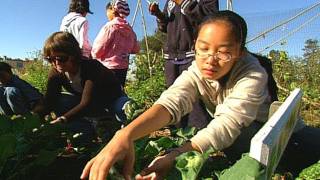 The Edible Schoolyard Yields Seed-to-Table Learning