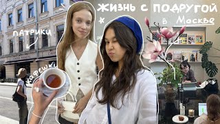 :      &     [weekly vlog]