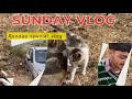 Sunday Routine Vlog | Khet Ka Kaam, Driving Practice &amp; Village Life 🌾🚗