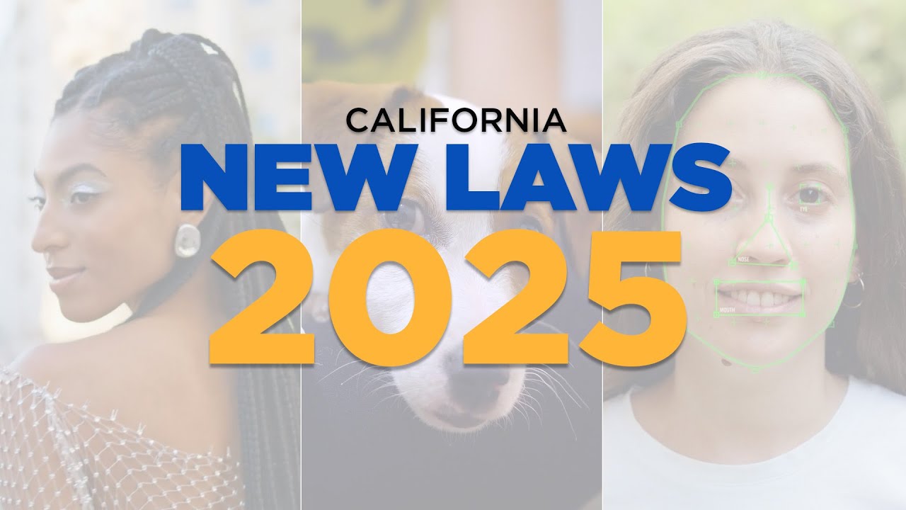 New California laws taking effect in 2025 - YouTube