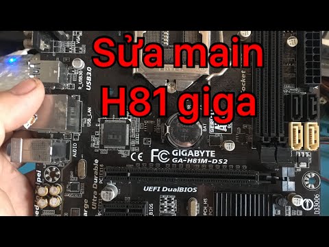 TT 49 : main giga h81 full trực tiếp