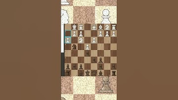 Strategic Utilization of Bishop Pair Key Tactics, Strategies for Superior Positional Play, Tactical