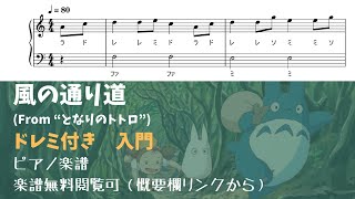 風の通り道 (ハ長調ドレミ付き簡単楽譜) - 久石譲