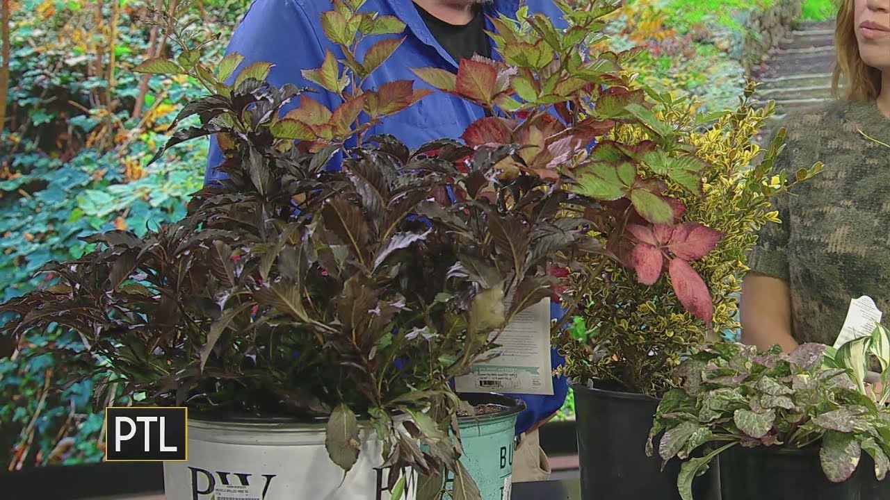 Why fall is actually a great time for gardening